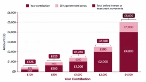 Government Bonus Do You Receive on a Lisa